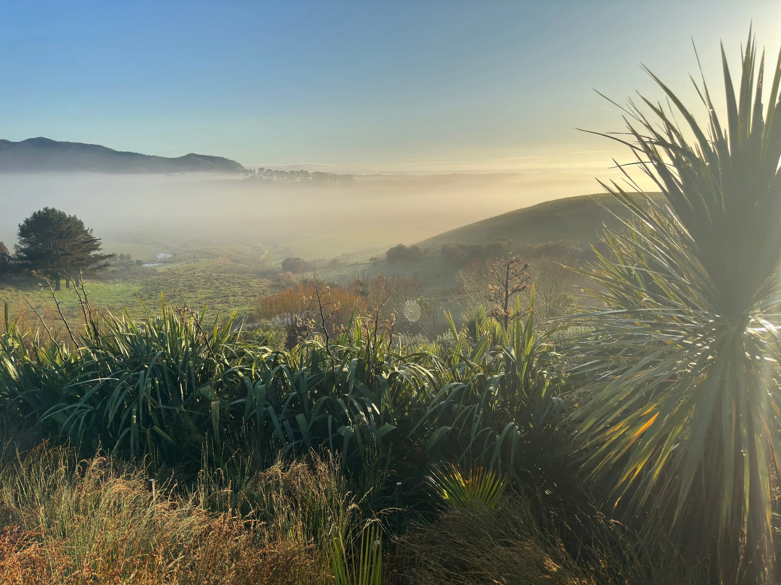 Whangārei Heads landscape